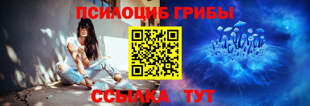 Псилоцибиновые грибы Psilocybine cubensis  Галлюциногенные грибы Cubensis  Вход с VPN  наркошоп  Нижневартовск 